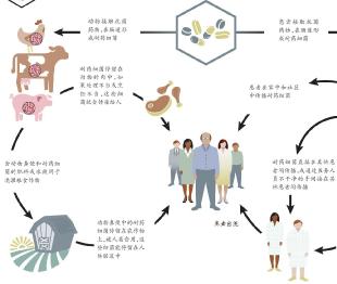 耐药性的形成2